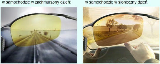 238e71559f04cf18ee50378831454255